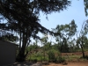 de bouwplaats